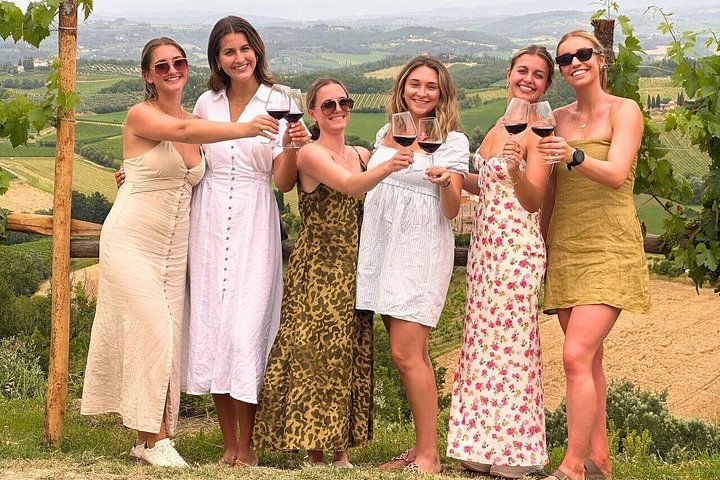 Visite des vins de Toscane : 2 vignobles et Chianti au départ de San Gimignano