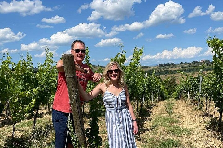 Visite des vins de Toscane : 2 vignobles et Chianti au départ de San Gimignano