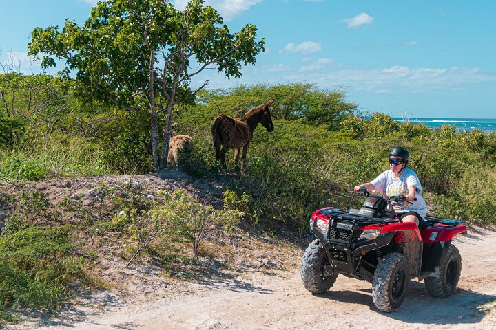 Recorrido en vehículos todoterreno Let's Ride Adventures en Gran Turca