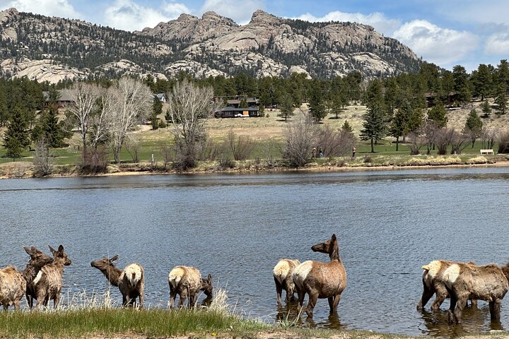 Einziehbare Glas Top Tours von RMNP von Purple Points Tour Company
