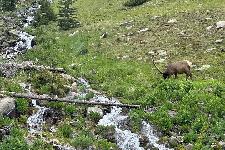 Einziehbare Glas Top Tours von RMNP von Purple Points Tour Company