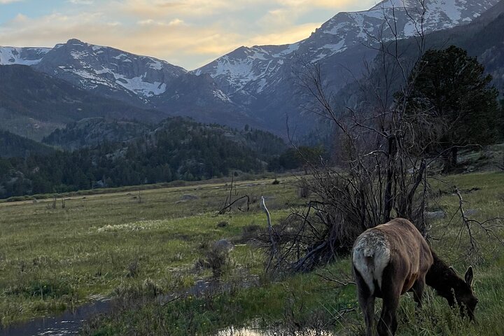 Einziehbare Glas Top Tours von RMNP von Purple Points Tour Company