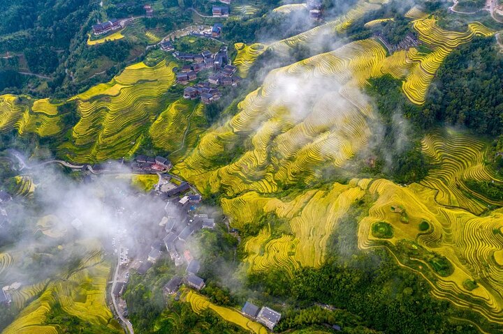 Terrazze di riso Longji con tour privato di un giorno al Minority Village