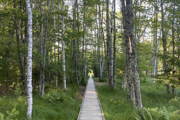 Slik livet bør være: 4-timers, privat guidet tur i Acadia NP.
