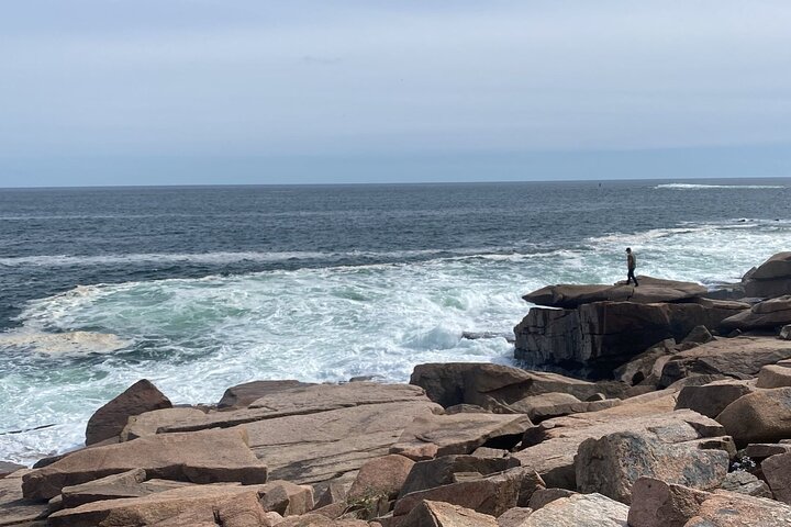 Slik livet bør være: 4-timers, privat guidet tur i Acadia NP.