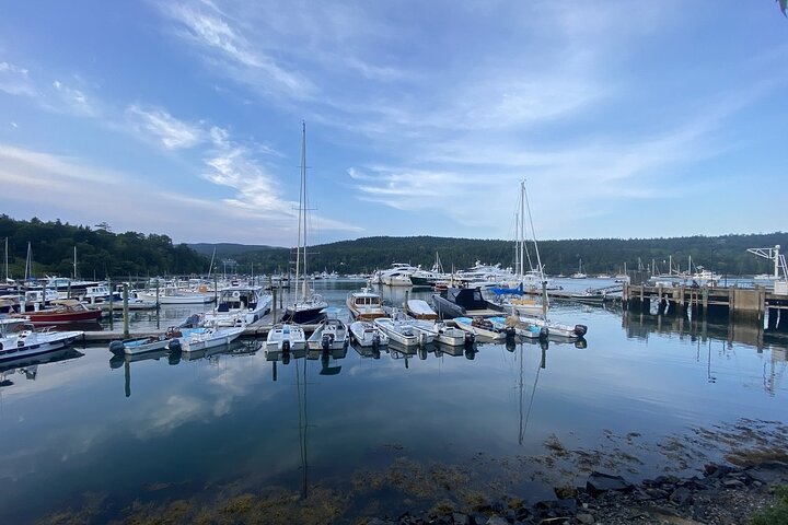 Slik livet bør være: 4-timers, privat guidet tur i Acadia NP.