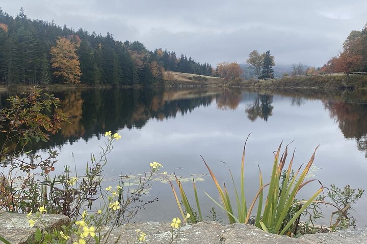 Slik livet bør være: 4-timers, privat guidet tur i Acadia NP.