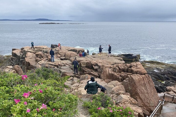 Slik livet bør være: 4-timers, privat guidet tur i Acadia NP.