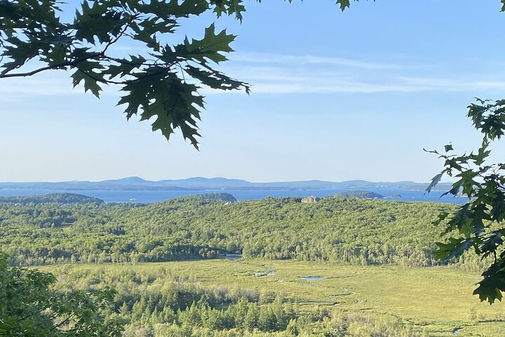 Slik livet bør være: 4-timers, privat guidet tur i Acadia NP.