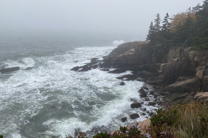 Slik livet bør være: 4-timers, privat guidet tur i Acadia NP.