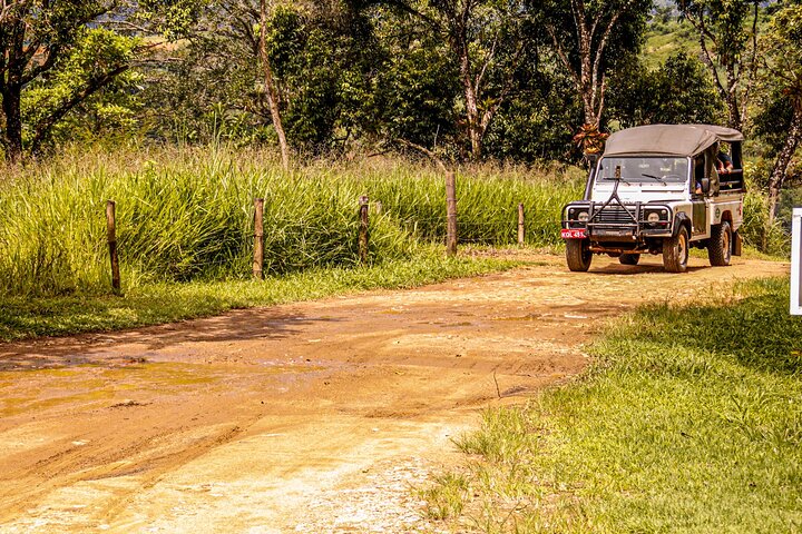 Vattenfall Jungle Jeep Adventure och Cachaca Tour från Paraty
