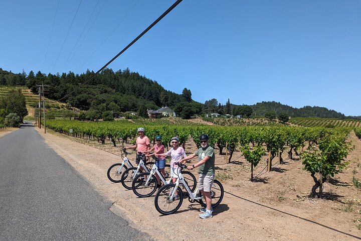 Tour guiado de día completo de cata de vinos en bicicleta eléctrica con almuerzo