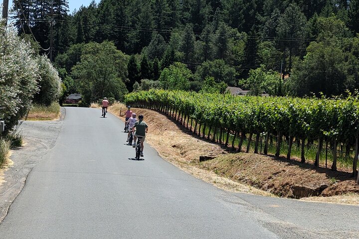 Tour guiado de día completo de cata de vinos en bicicleta eléctrica con almuerzo