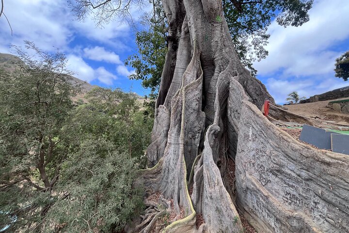 Santiago Island-opplevelse – kultur, natur og Tarrafal-stranden