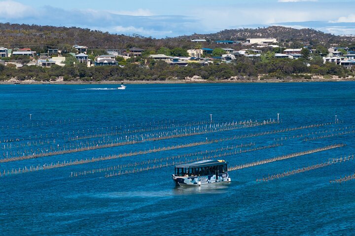 Experiência Coffin Bay Short and Sweet Oyster Farm Tour