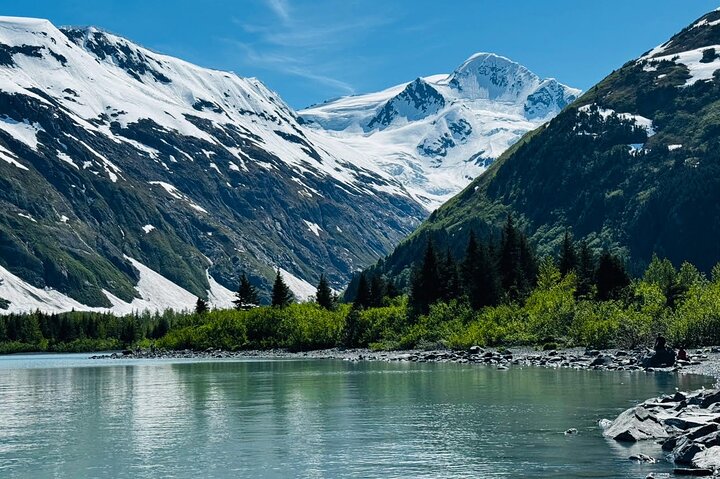 Trasferimento in crociera Whittier con tour Wildlife&Glacier ad Anchorage
