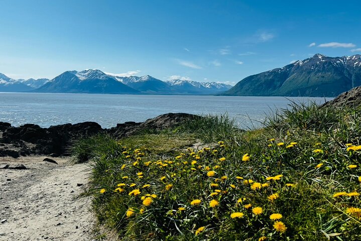 Trasferimento in crociera Whittier con tour Wildlife&Glacier ad Anchorage