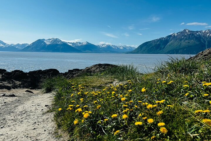 Seward kryssning Transfer med vilda djur och natursköna Tour till Anchorage