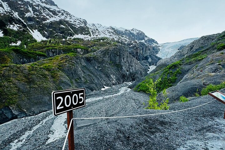 Seward kryssning Transfer med vilda djur och natursköna Tour till Anchorage