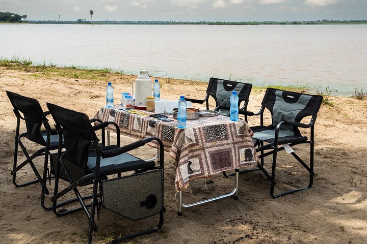 Desde Zanzíbar: Safari privado de día completo en Selous con vuelos