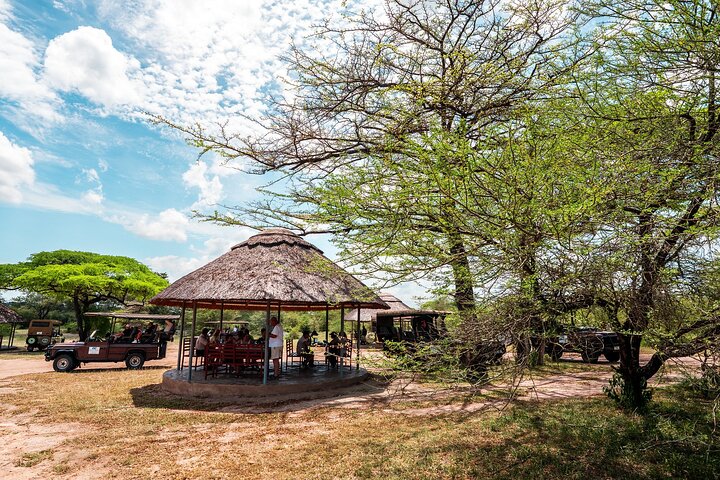 Desde Zanzíbar: Safari privado de día completo en Selous con vuelos