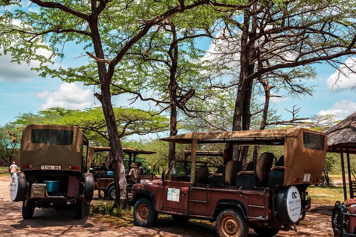 Desde Zanzíbar: Safari privado de día completo en Selous con vuelos