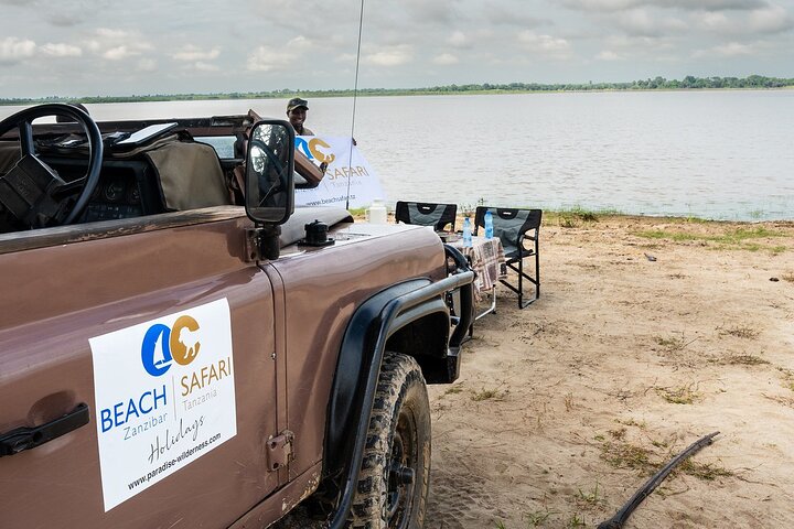 Desde Zanzíbar: Safari privado de día completo en Selous con vuelos