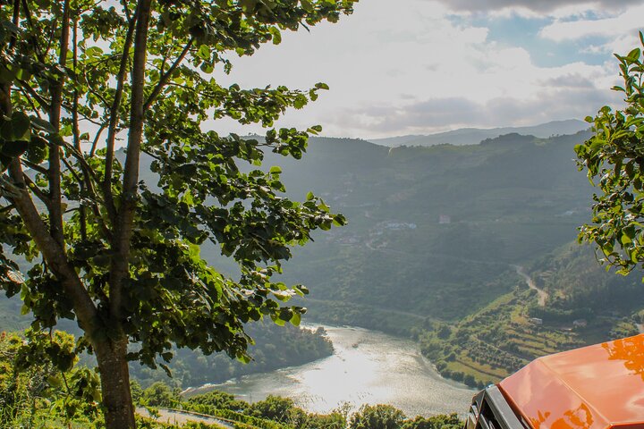 Melhor do Douro num Dia: Barco, Vinho e Almoço Familiar