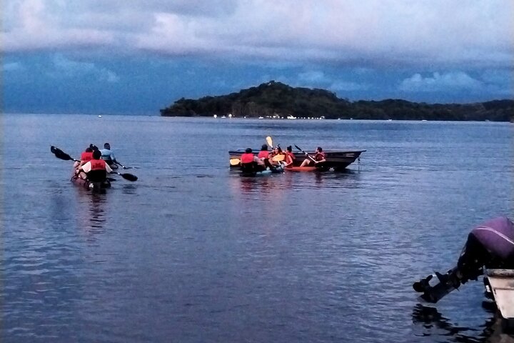 2-timers bioluminescens-tur med kajakk i Paquera