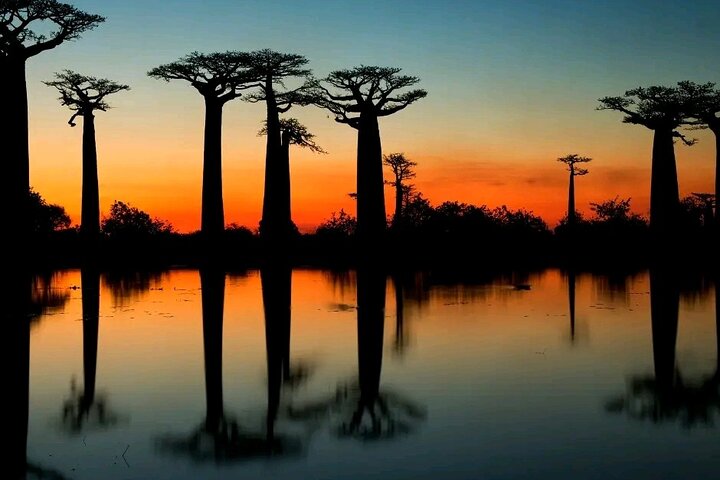 Morondava Tour : 3-daagse tour naar Tsingy of Bemaraha & Baobab avenue
