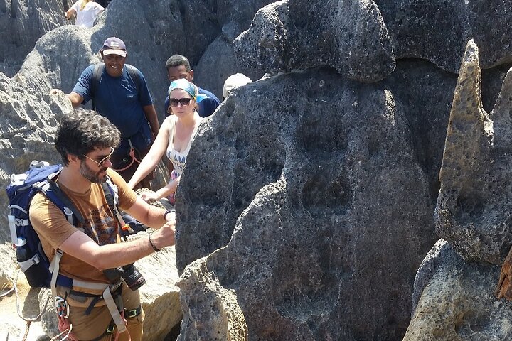 Morondava Tour : 3-daagse tour naar Tsingy of Bemaraha & Baobab avenue