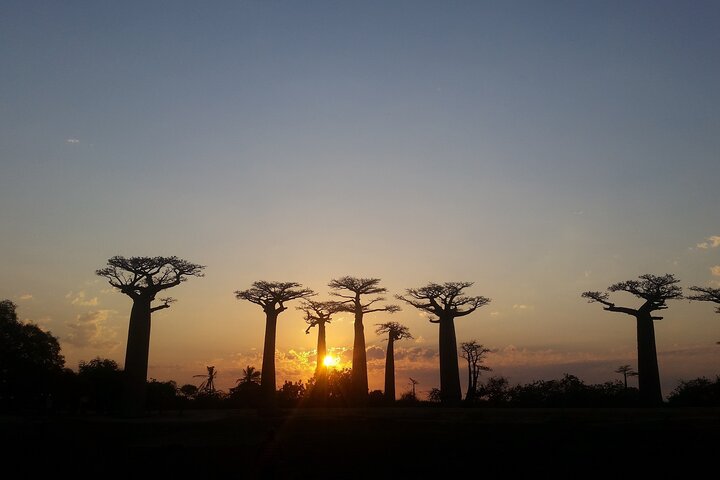 Morondava Tour : 3-daagse tour naar Tsingy of Bemaraha & Baobab avenue