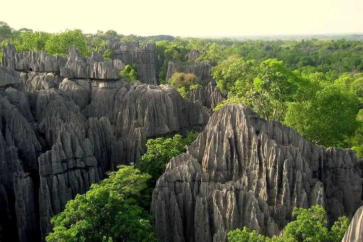 Morondava Tour : 3-daagse tour naar Tsingy of Bemaraha & Baobab avenue