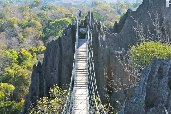 Morondava Tour : 3-daagse tour naar Tsingy of Bemaraha & Baobab avenue