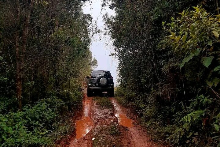 Morondava Tour : 3-daagse tour naar Tsingy of Bemaraha & Baobab avenue