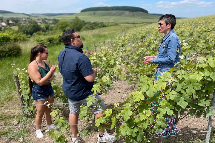Champagne Muñoz Bruneau: visita y degustación de medio día
