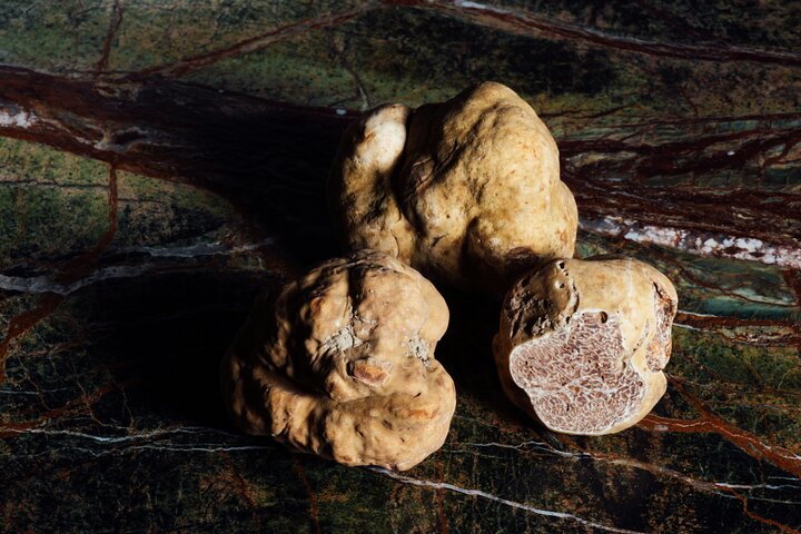 Truffeljacht en kaas-, truffel- en wijnproeverij in de buurt van Alba