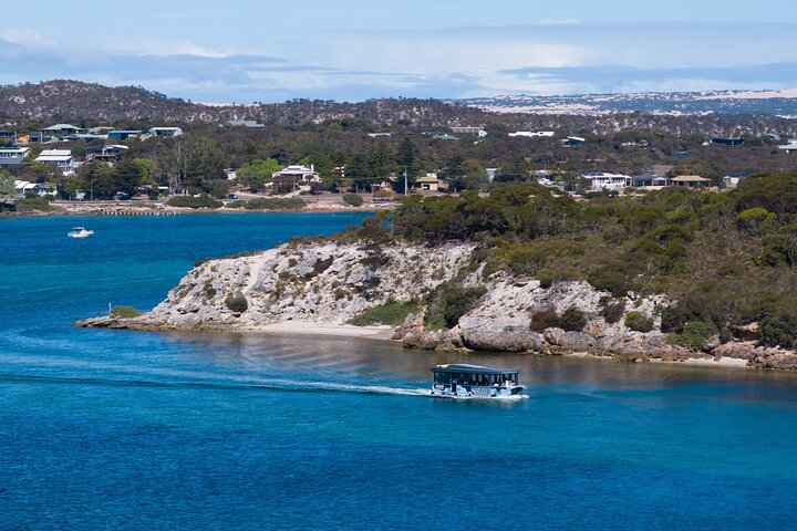 Experiência Coffin Bay Short and Sweet Oyster Farm Tour