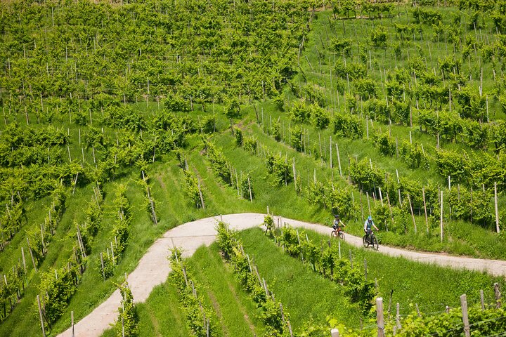 Valdobbiadene per e-bike door wijngaarden - Prosecco Hills UNESCO
