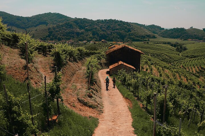 Valdobbiadene per e-bike door wijngaarden - Prosecco Hills UNESCO