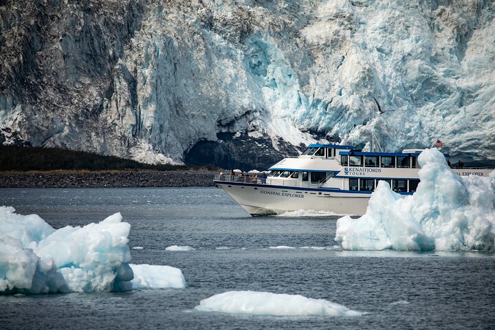 Kenai Fjords National Park Gletscher- und Wildtier-Tour von Seward
