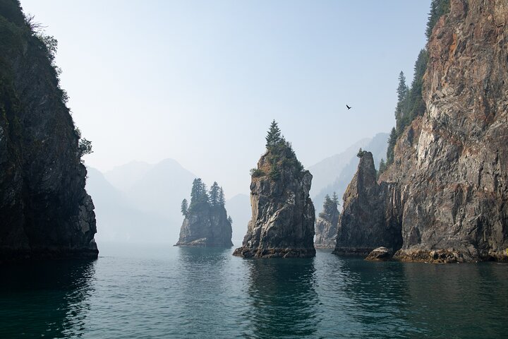 Kenai Fjords National Park Gletscher- und Wildtier-Tour von Seward