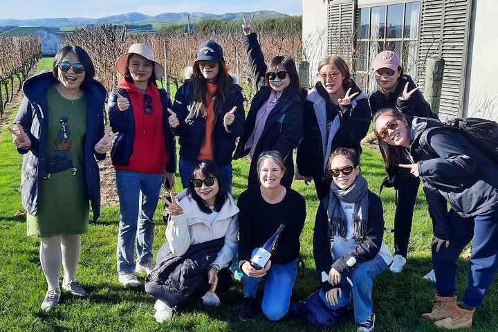 Excursão de meio dia pela vinícola Martinborough saindo de Wellington