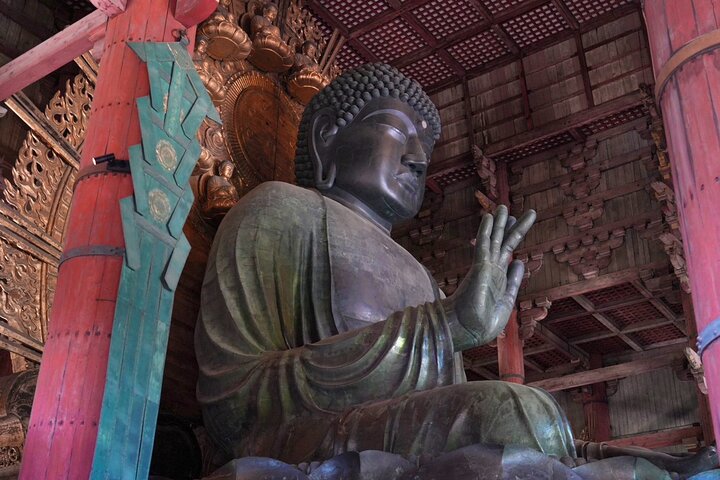 Nara Early Morning Tour Kyoto eller Osaka Avreise tilgjengelig