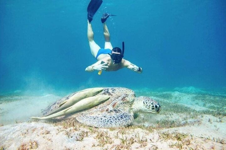 Paseo en barco por Marsa Mubarak con tortugas y dugongos desde Marsa Alam