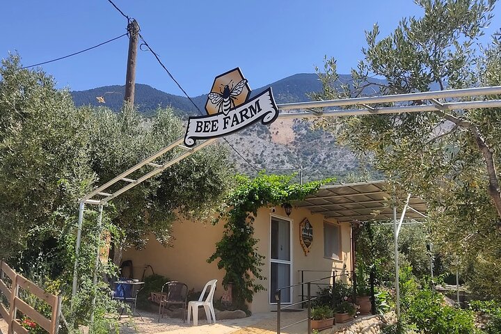 Cefalonia: Experiencia privada de cata de aceite de oliva, miel y vino