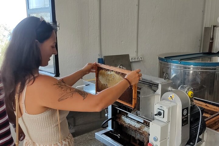 Cefalonia: Experiencia privada de cata de aceite de oliva, miel y vino