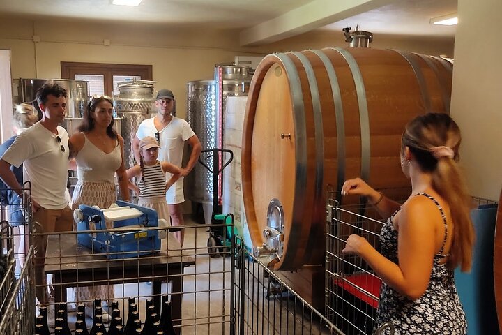 Cefalonia: Experiencia privada de cata de aceite de oliva, miel y vino