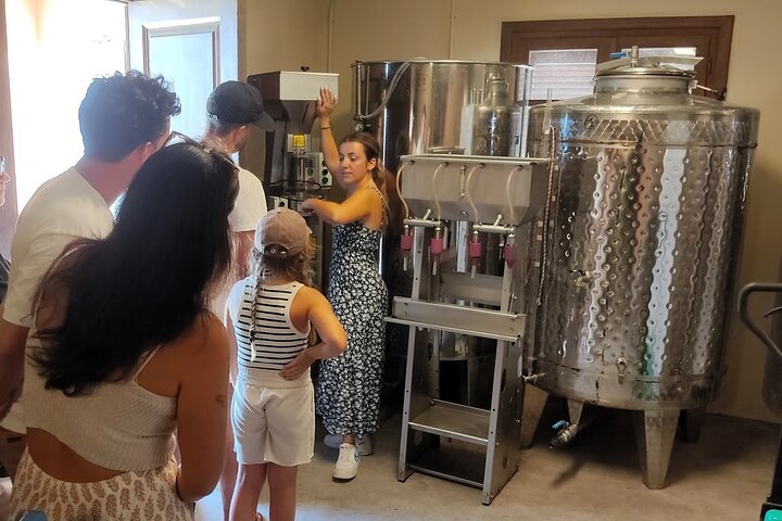 Cefalonia: Experiencia privada de cata de aceite de oliva, miel y vino
