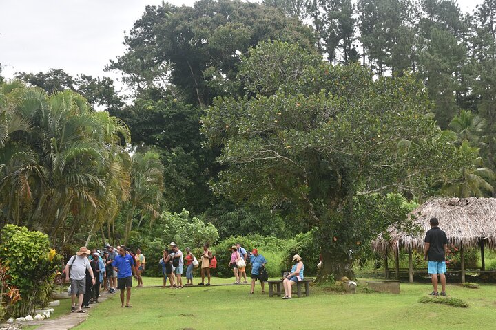 Juwel von Fidschi inkl. Fidschi Dorf, Wasserfall & Mittagessen (Nadi Hotels)
